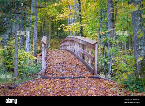 chequamegon nicolet national forest|More.